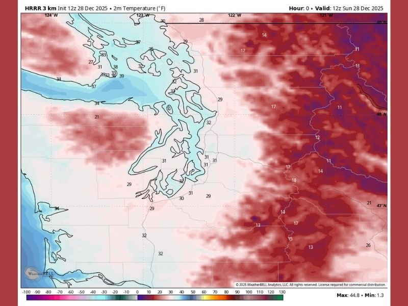Seattle Records Its Second Freeze of the Season as Temperatures Drop to 31 Degrees and More Cold Mornings Loom