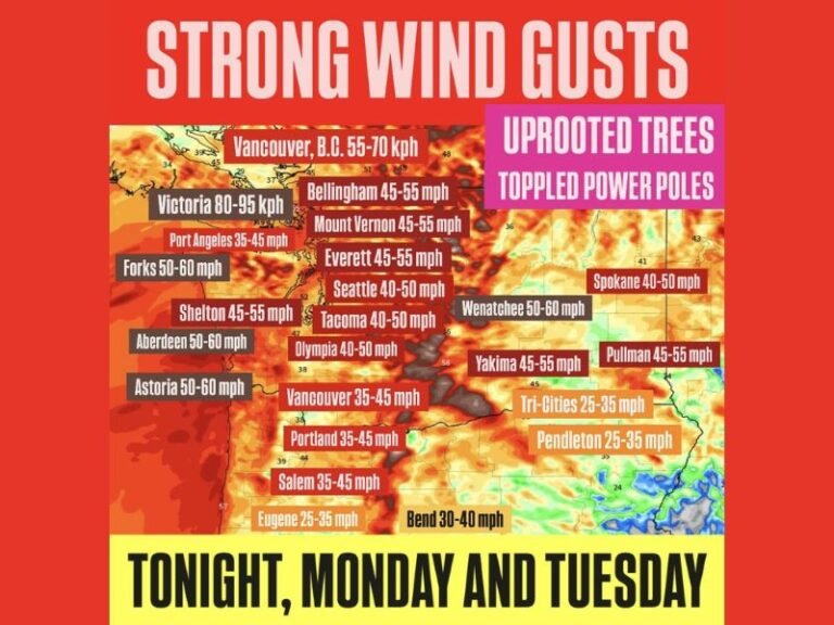 Washington Braces for Powerful Wind Gusts Through Tuesday as Storms Threaten Uprooted Trees and Power Outages