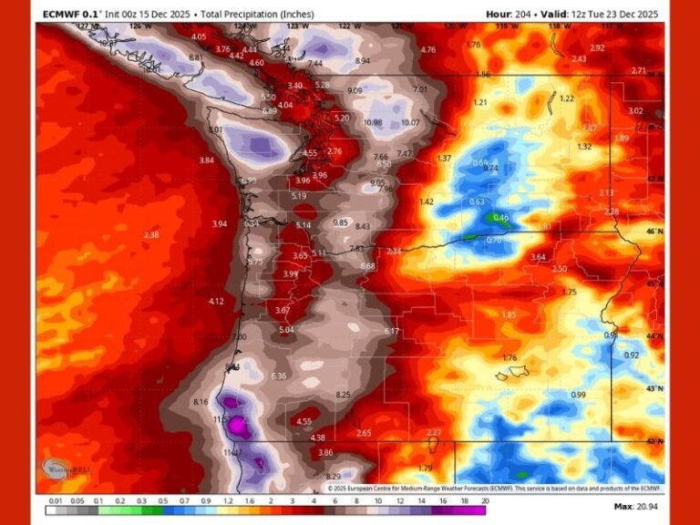 Washington, Oregon and Northern California Brace for 5–10 Inches of Rain as Another Atmospheric River Approaches