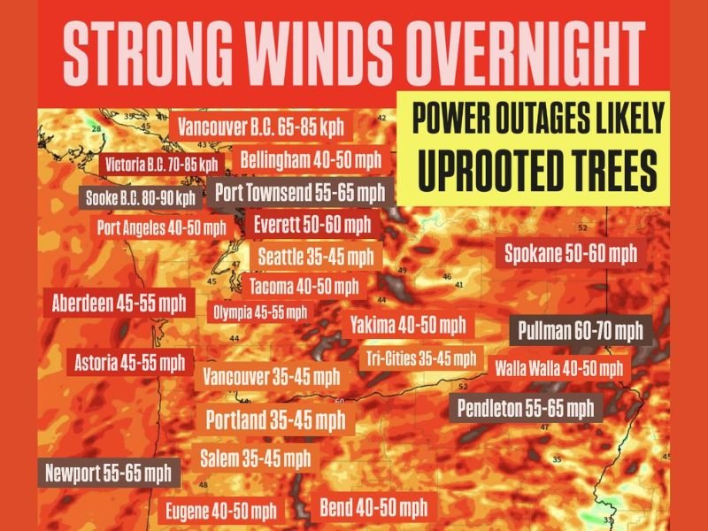 Washington, Oregon, and Vancouver Island Brace for Dangerous Overnight Wind Gusts Up to 55 mph, Causing Power Outage and Tree Damage Risks