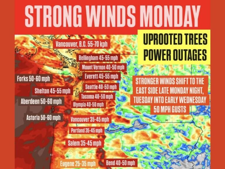 Washington State to See 45–60 MPH Wind Gusts Monday as Storm Threatens Power Outages and Uprooted Trees