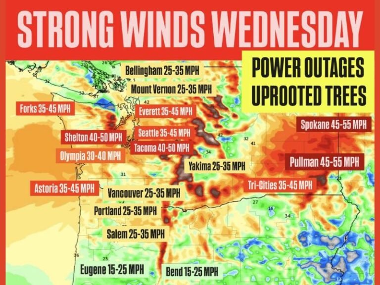 Washington and Oregon Bracing for Strong Winds Wednesday; Power Outages and Downed Trees Possible