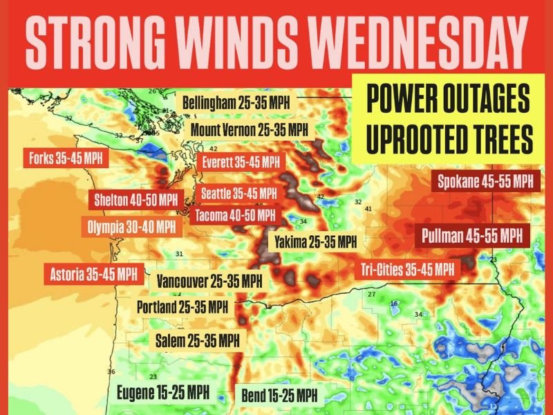 Washington and Oregon Bracing for Strong Winds Wednesday; Power Outages and Downed Trees Possible