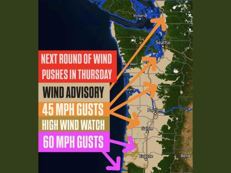 Washington and Oregon Prepare for Another Wind Event Thursday With 45–60 MPH Gusts, Risking Power Outages and Tree Damage