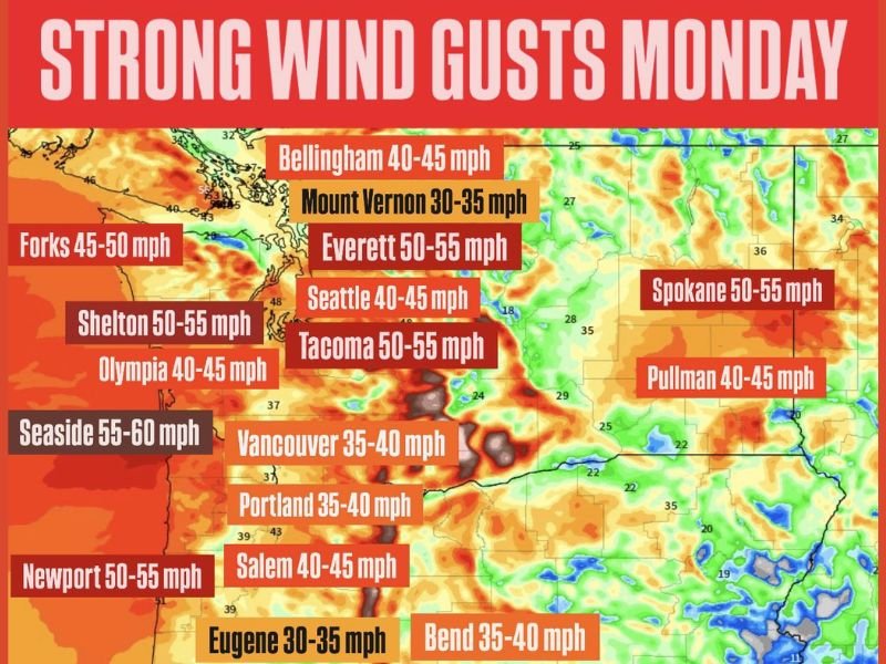 Washington and Oregon to Face Powerful Wind Gusts Up to 60 MPH on Monday as Atmospheric River Moves Inland