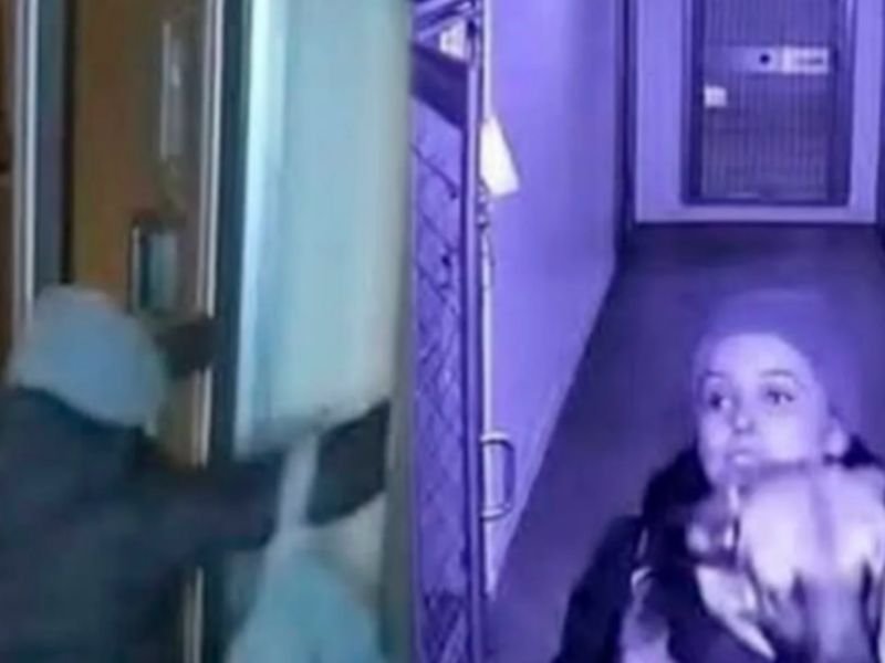 Woman Breaks Into Animal Shelter to Rescue Dog After Ex-Boyfriend Surrendered Him for Euthanasia, Charges Later Dropped