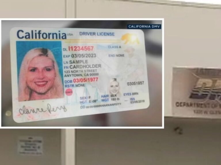 California DMV Error Forces 325,000 Residents to Replace REAL IDs After System Miscalculation