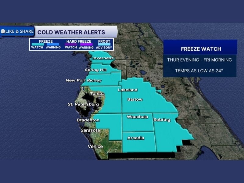 Florida Freeze Watch Issued for Tampa Bay and Central Florida as Temperatures Could Drop to 24 Degrees Late Week