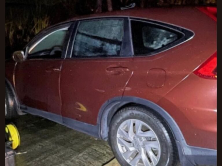 Florida Man Dies After Driving Off Polk County Boat Ramp Into Lake Marion, Leaving Family Questions and Community Shock