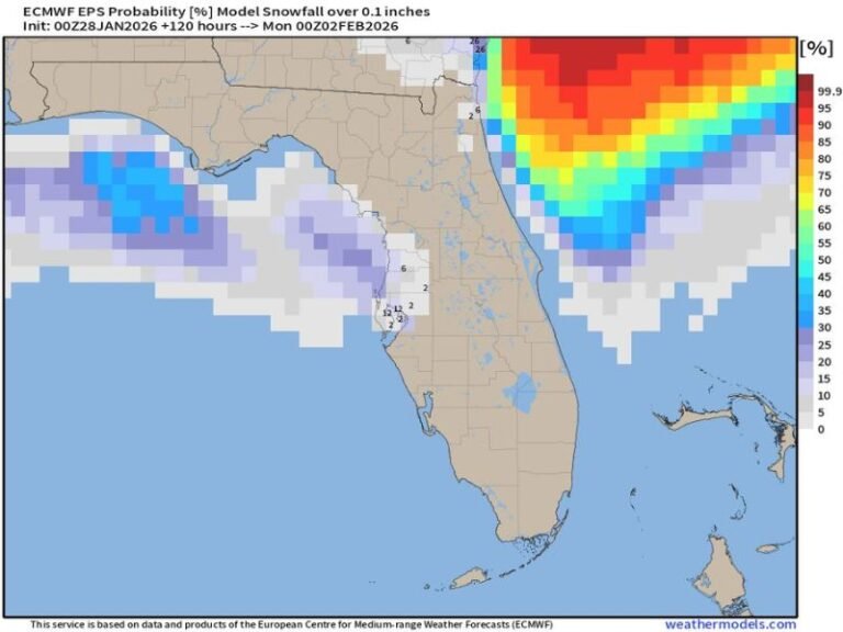 Florida Snow Watch Issued as EURO Model Signals Narrow Flurry Window Near Tampa Bay Amid Extreme Cold
