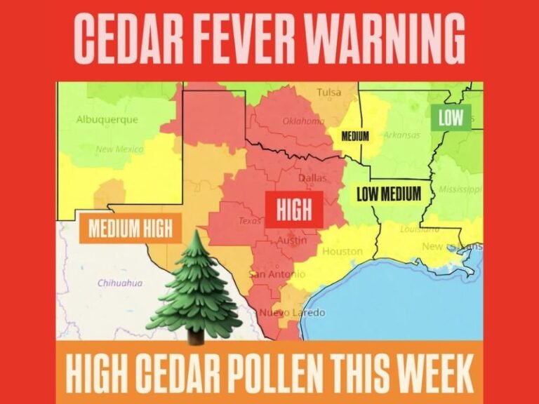 High Cedar Pollen Levels Trigger Cedar Fever Warning Across Texas and Oklahoma as Warm Weather Persists