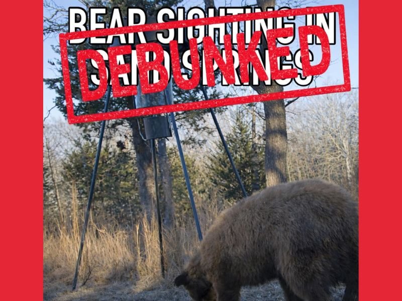 Oklahoma Wildlife Alert: Possible Black Bear Sighted Near Discovery Land in Sand Springs After Trail Camera Capture