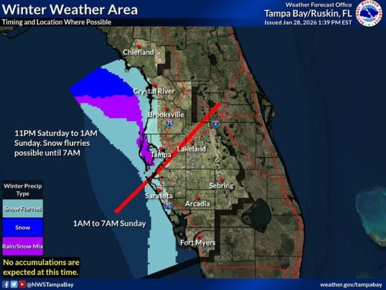 Tampa Bay Area Sees Rare Overnight Snow Flurry Window as Arctic Air Pushes Into West-Central Florida