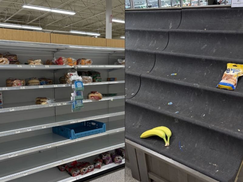 Tennessee Winter Storm Triggers Panic Buying as Nashville Grocery Shelves Empty Within Hours