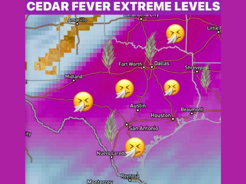 Texas Cedar Fever Reaches Extreme Levels as Juniper Pollen Surges Across San Antonio, Austin, Dallas, and Deep South Texas