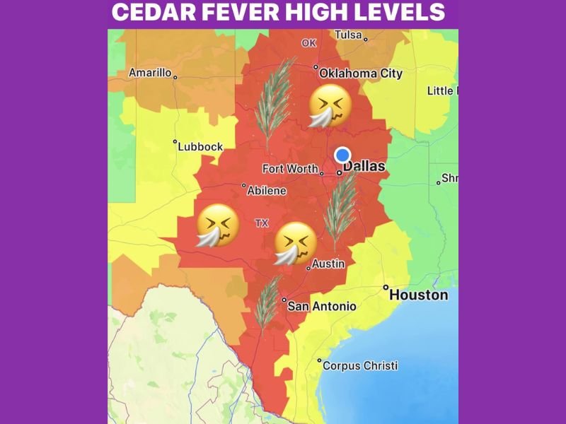Texas and Oklahoma Cedar Fever Surge Worsens as Strong Winds Spread High Juniper Pollen From San Antonio to Oklahoma City