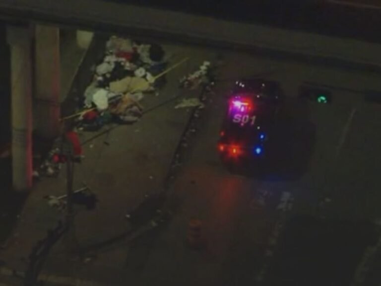 Two People Found Dead Under Downtown Houston Bridge as Police Believe Extreme Cold Caused Fatal Exposure