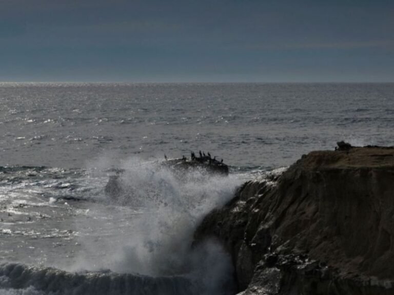 California Search Underway After Two Surfers Reported Missing Near Santa Cruz Lighthouse, U.S. Coast Guard Says