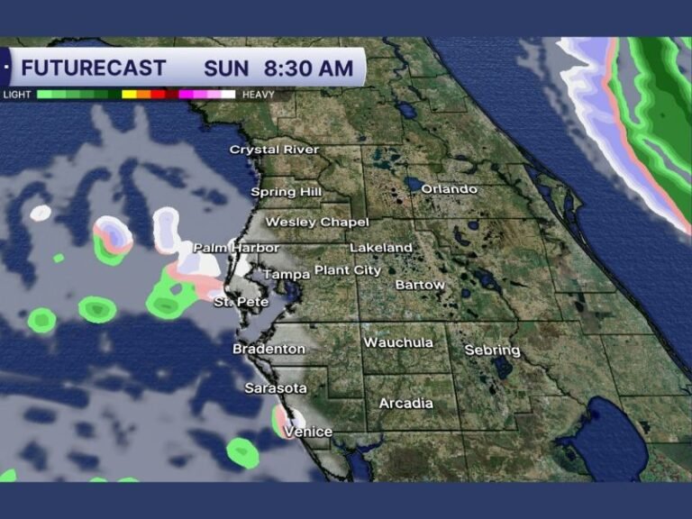 Florida Could See Rare Snow Flurries Near Sunrise Sunday as Bitter Arctic Air Locks in Freezing Temperatures and Pipe Risks