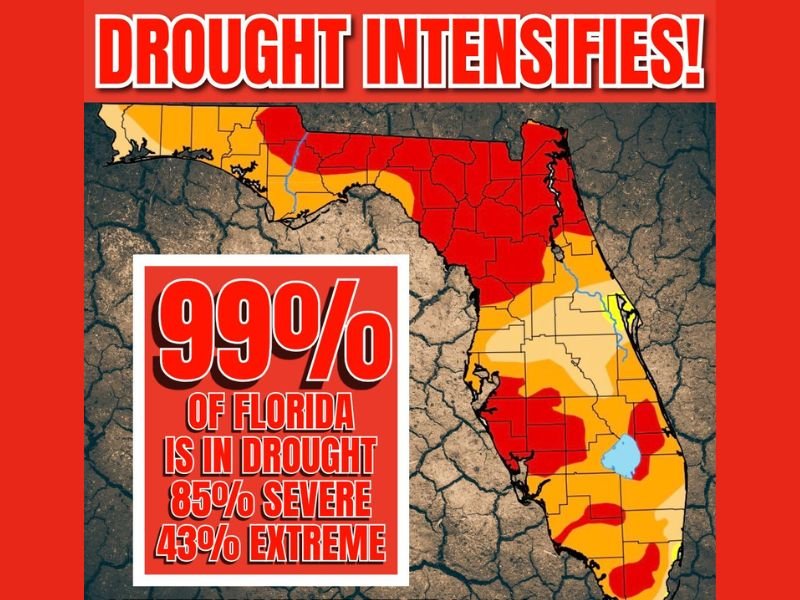 Florida Drought Crisis Deepens: 99% of State Now Affected, 85% in Severe Conditions and 43% in Extreme Drought
