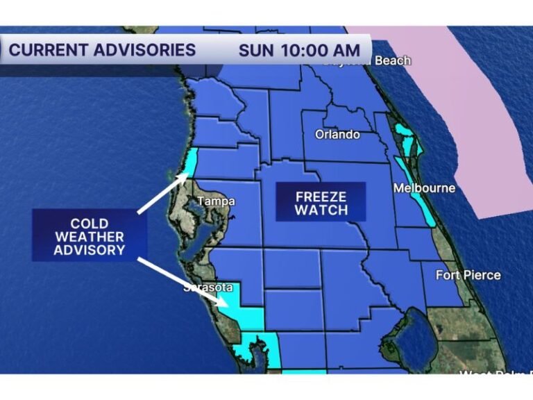 Florida Freeze Watch Issued for Tampa Bay and Inland Counties Tuesday Night as Temperatures Could Drop to 29°F With Colder Wind Chills Into Wednesday Morning