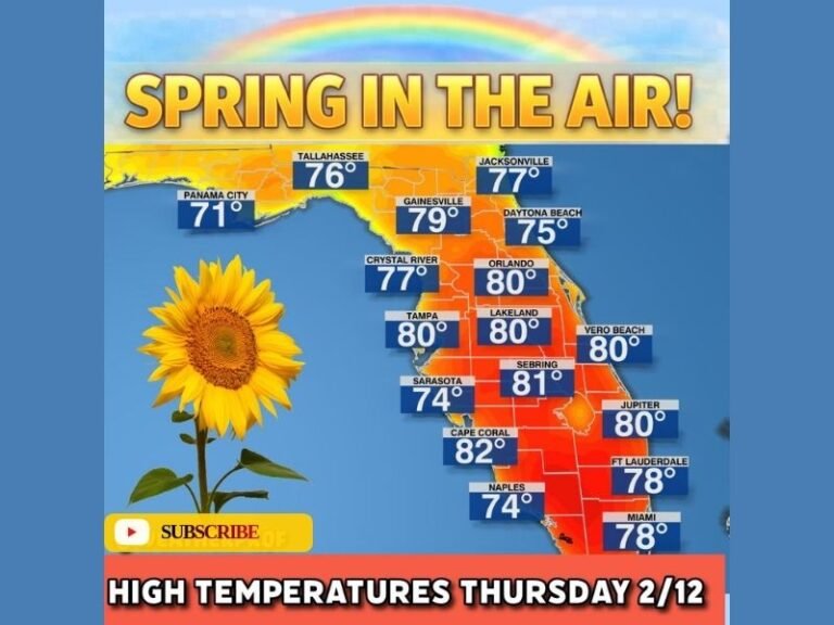 Florida Warms Back Up Thursday Feb. 12 as “Spring in the Air” Forecast Shows 70s and Low 80s Statewide