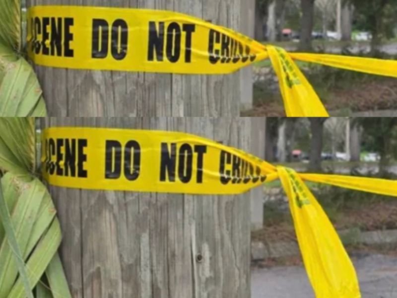 Florida Woman Dies After Being Trampled in Winter Haven Field Near Lucerne Lakeside Mobile Home Park, Police Say It Was a Tragic Accident