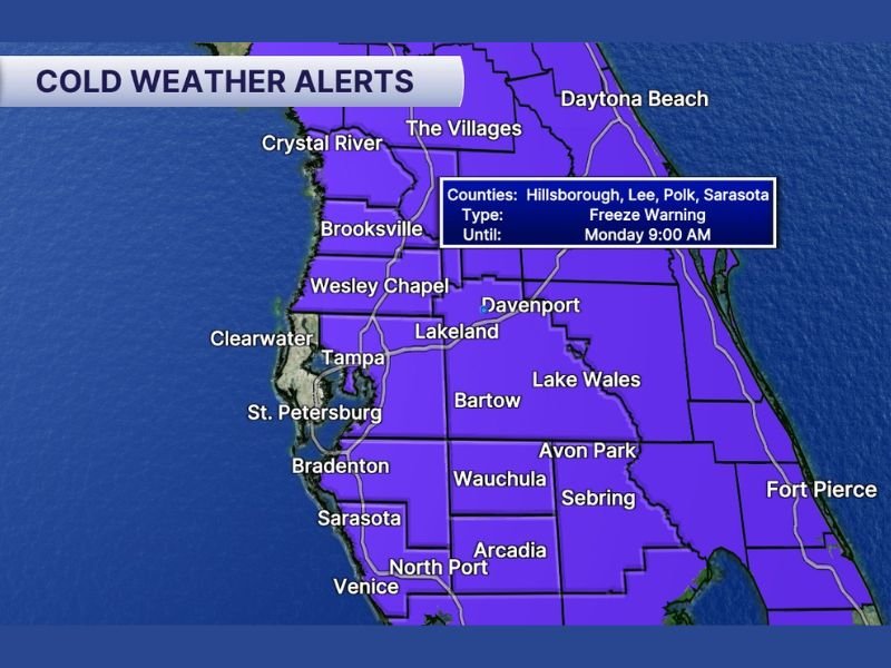 Freeze Warnings Blanket Central and Southwest Florida as Temperatures Drop to Freezing Levels Monday Morning