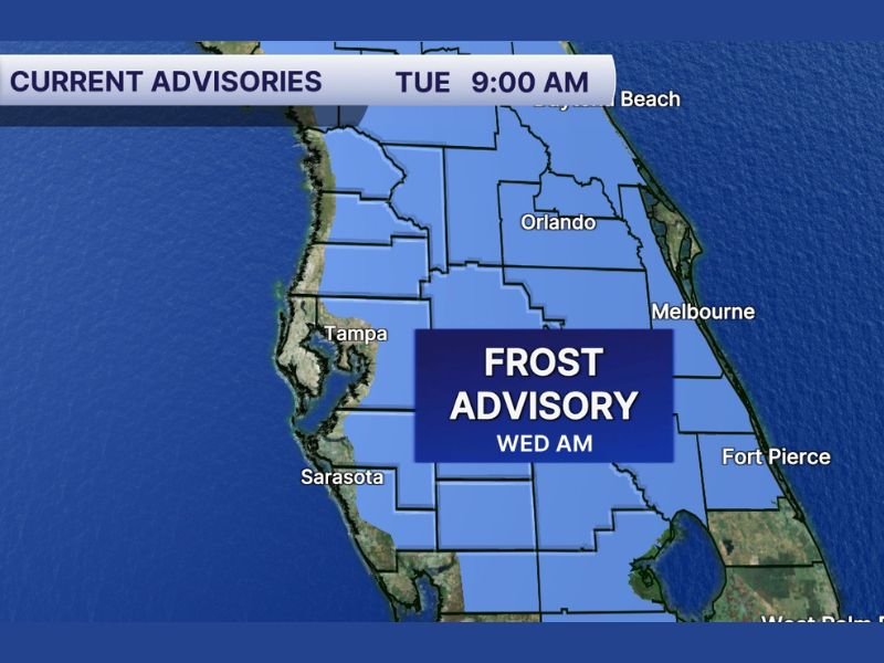 Frost Advisory Issued for Tampa, Orlando and Surrounding Central Florida Areas Wednesday Morning as Temperatures Drop Overnight