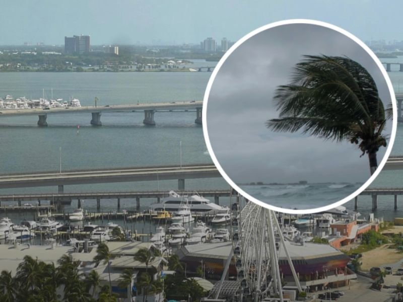 Miami Hits 35°F on Feb. 1, 2026 as Rare Arctic Blast Brings Coldest Morning in Over a Decade