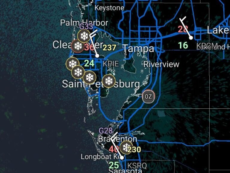Snowflakes Reported Across West-Central Florida as Rare Arctic Air Pushes Wintry Weather Into Tampa Bay Area
