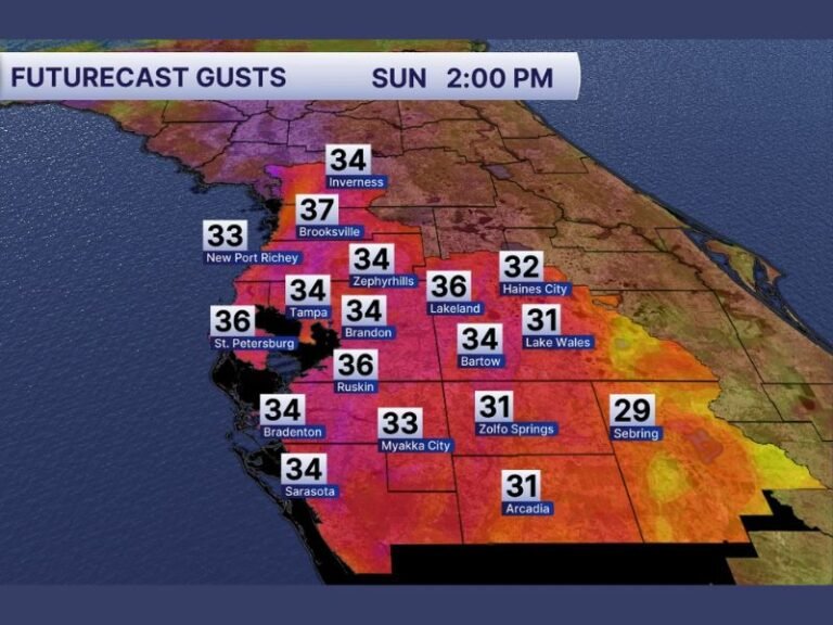 Strong Cold Front Targets Tampa Bay With 35+ MPH Gusts This Afternoon and Potential 45 MPH Storm Winds Tonight