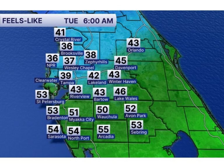Florida Cold Shock Hits Tampa, Orlando and Central Cities as Wind Chills Drop Into 30s Despite Sunshine Across the State
