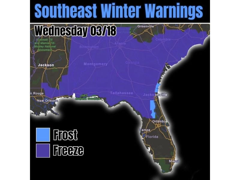 Florida, Georgia, Alabama, Mississippi Face Rare Southeast Freeze Warning as Temperatures Drop Into 30s Reaching Deep Into North Florida