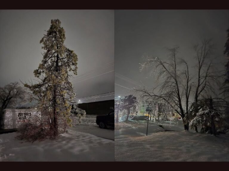 Michigan Ice Storm Slams Alpena as Heavy Icing Brings Down Trees and Leaves Nearly 65,000 Customers Without Power