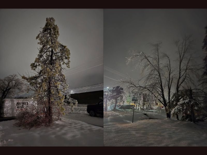 Michigan Ice Storm Slams Alpena as Heavy Icing Brings Down Trees and Leaves Nearly 65,000 Customers Without Power