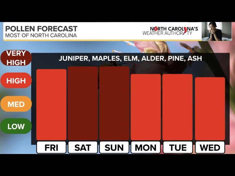 North Carolina Allergy Alert: Sky-High Pollen From Juniper, Maple, Elm, Alder, Pine and Ash Expected Across the State Through Next Week