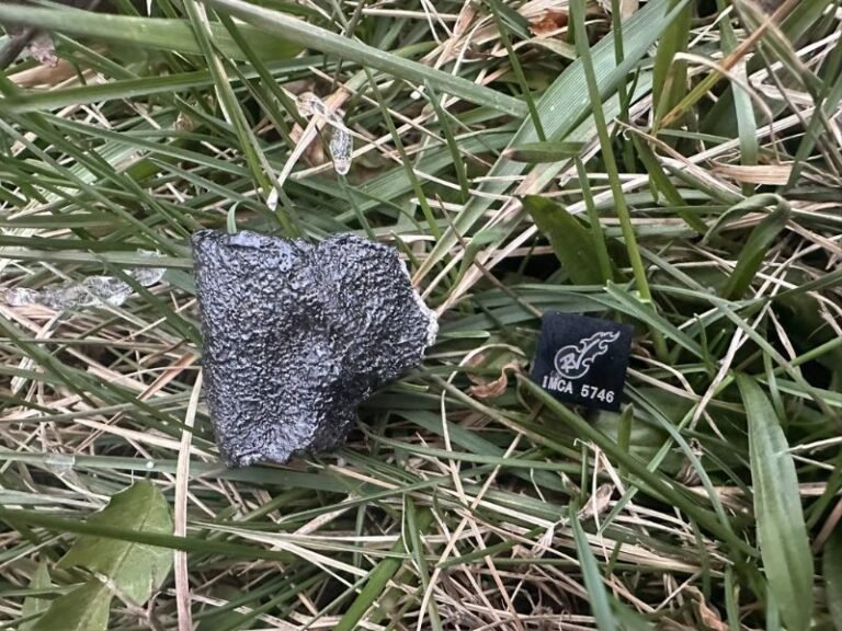Ohio Meteor Explosion Fallout Sparks Rare Discovery Near Cleveland as Scientists Say More Meteorite Fragments May Be Scattered Across Medina County