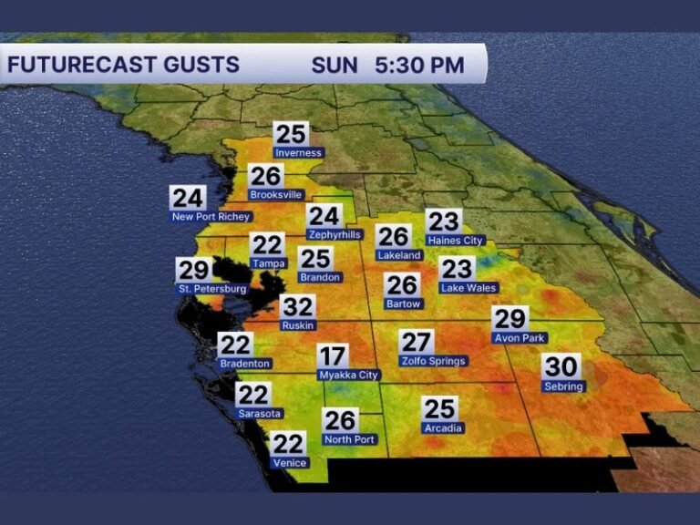 Tampa, St Petersburg, Lakeland, Sarasota, Sebring See 30 MPH Wind Gusts Sunday With Breezy Conditions Continuing Into Monday Across Florida