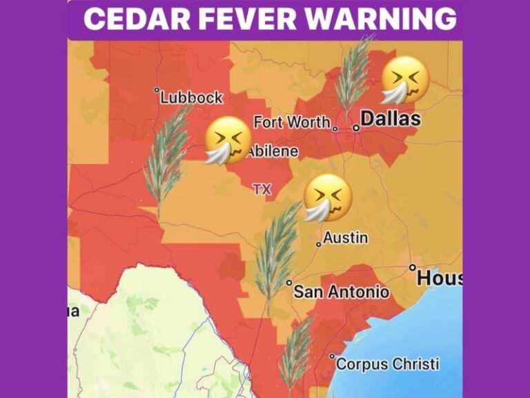 Texas Cedar Fever Surge Hits Dallas, Fort Worth, Austin and San Antonio as Allergy Index Spikes to Extreme Levels Across North Texas