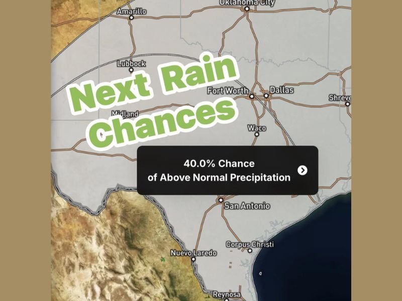 Texas Cities Dallas, Fort Worth, Austin and San Antonio Face Extended Dry Spell as Rain Chances Delay Until Late March and Early April