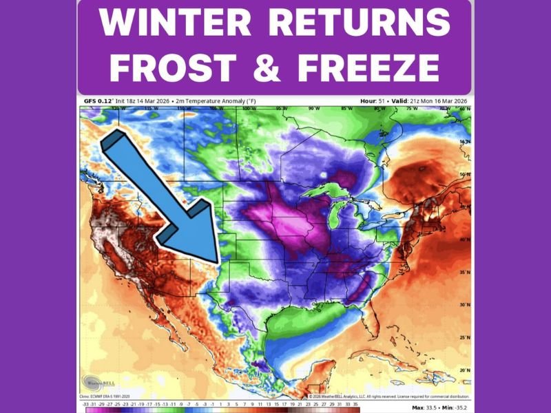 Texas Cold Front Brings Sudden Winter Return Across North Central Texas With Freeze, 50 MPH Winds and 20s Wind Chills