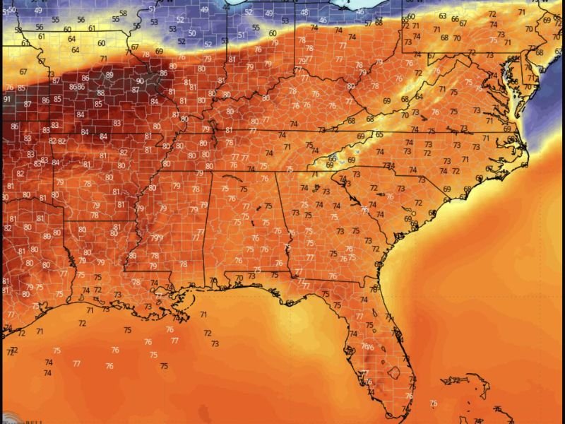 Texas, Louisiana, Mississippi, Alabama, Georgia, Florida Warm Humid Nights Fuel Mosquito Surge As Temperatures Stay in 70s Across Gulf Coast