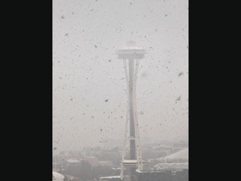 Washington Snow Scene: Space Needle Surrounded by Falling Snow as Flurries Drift Across Seattle on Friday the 13th
