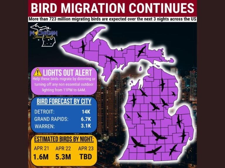 723 Million Birds Migrating Across the US This Week With 5.3 Million Expected Over Michigan Wednesday Night as Lights Out Alert Issued Statewide