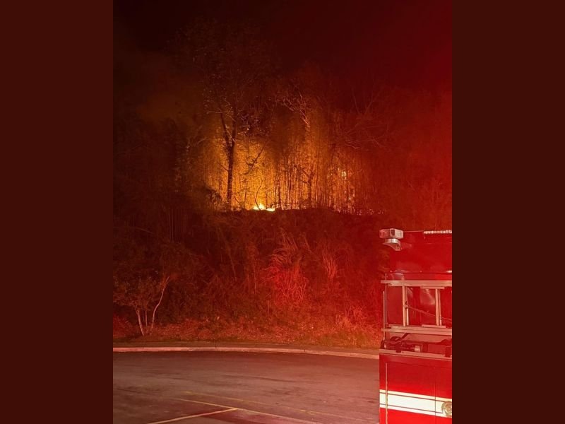 Large Brush Fire Breaks Out Overnight Along Hendersonville Road in Asheville Threatening Assisted Living Facility Before Crews Contain the Blaze