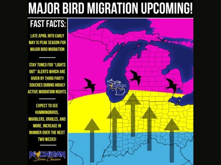 Peak Bird Migration Arriving Across Michigan Over the Next Two to Three Weeks With Hummingbirds, Warblers, and Orioles Heading North Through Late April Into Early May