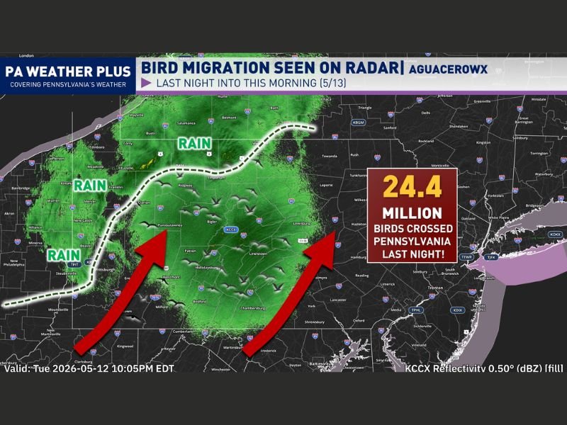 24.4 Million Birds Detected on Radar Overnight Across Pennsylvania Including Pittsburgh State College and Harrisburg Wednesday Morning May 13