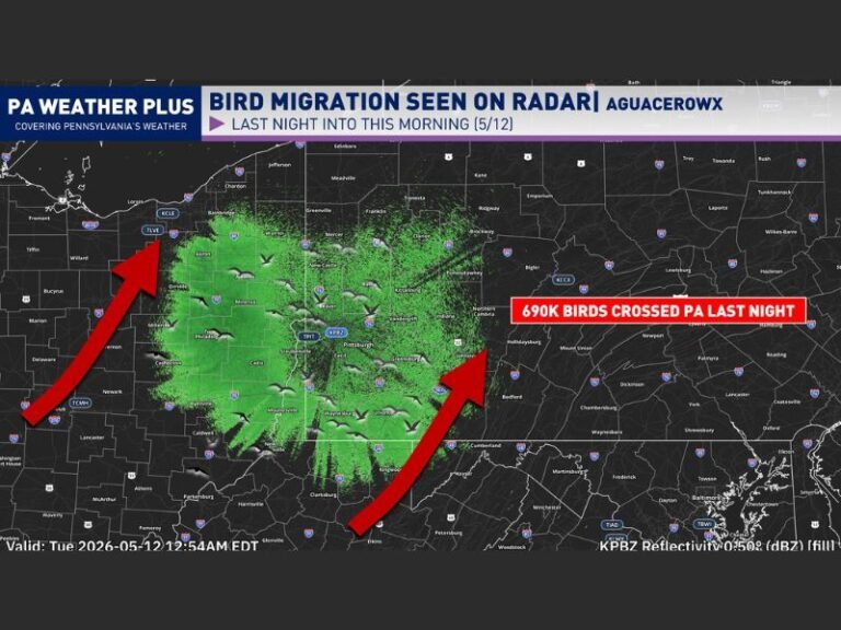 690K Birds Detected on Radar Overnight Across Pennsylvania Including Pittsburgh With Millions More Expected to Migrate Tonight May 12
