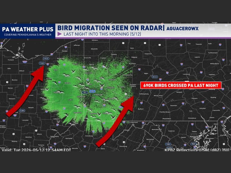 690K Birds Detected on Radar Overnight Across Pennsylvania Including Pittsburgh With Millions More Expected to Migrate Tonight May 12